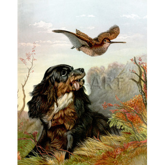 РЕПРОДУКЦИИ НА КАРТИНИ Кокер шпаньол и горски бекас (1876)